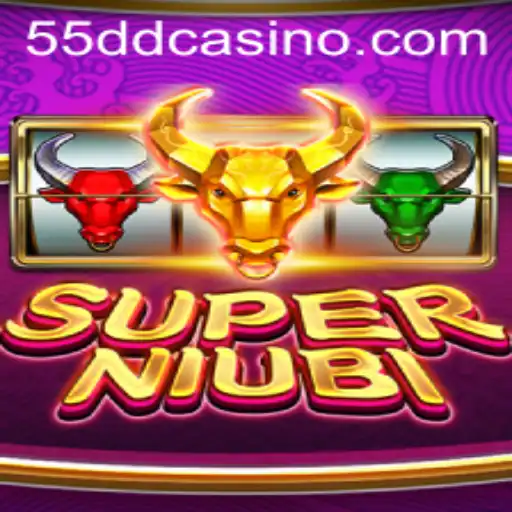 55dd Casino App